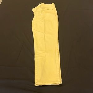 Talbots Slim Ankle jeans 6P